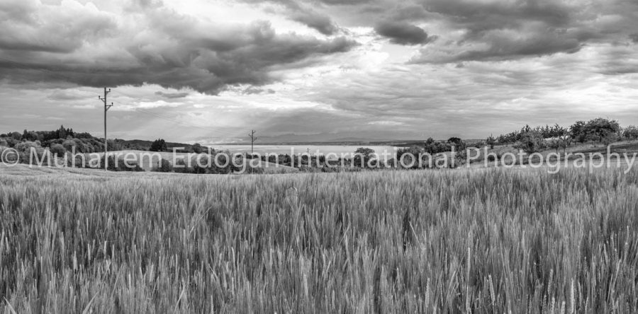 Lake Constance 20-05-2017 – 4