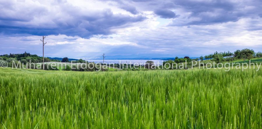 Lake Constance 20-05-2017 -1